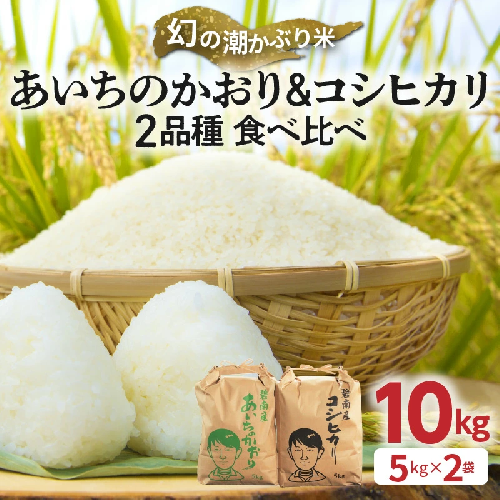 〈数量限定〉【幻の潮かぶり米】令和7年産新米 あいちのかおり&コシヒカリ2品種 食べ比べ10kg（5kg×2袋） 令和７年度産　新米　米 コメ 新米 あいち 愛知 かおり コシヒカリ こしひかり 数量限定 H073-009 616130 - 愛知県碧南市