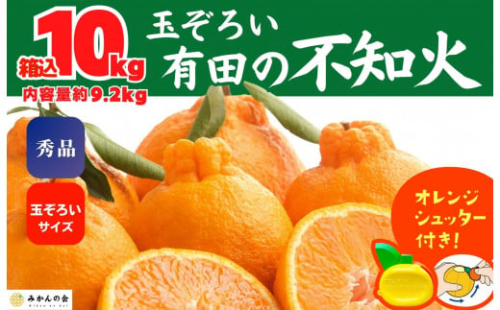 不知火 (しらぬい) 秀品 玉ぞろい 箱込 10kg (内容量約9.2kg)  和歌山県産 産地直送［みかんの会］ 616423 - 和歌山県有田川町