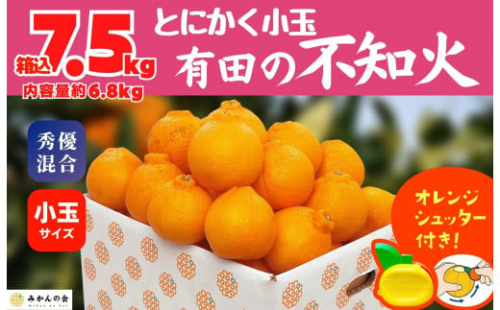 不知火 とにかく 小玉 箱込 7.5kg(内容量約 6.8kg) 秀優品混合 和歌山県産 産地直送［みかんの会］ 616424 - 和歌山県有田川町