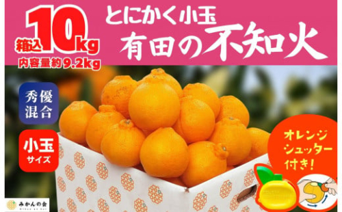 不知火 とにかく 小玉 箱込10kg (内容量約 9.2kg)  秀優品混合 和歌山県産 産地直送［みかんの会］ 616425 - 和歌山県有田川町