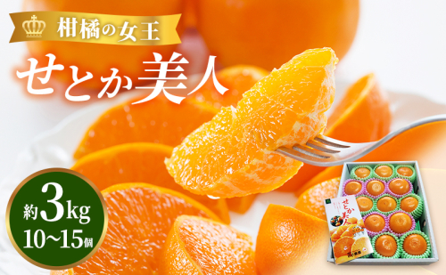 【2026年3月頃より順次発送】柑橘の女王『せとか美人』 果物類 みかん 柑橘類  61649 - 静岡県浜松市