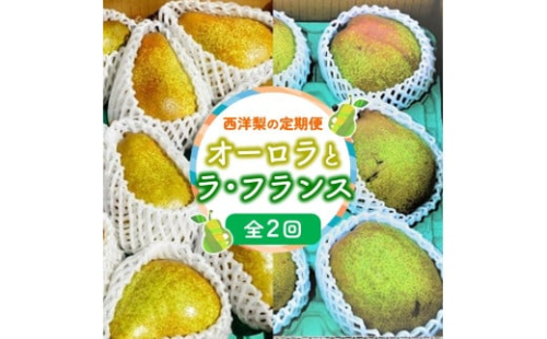 【定期便:全2回】オーロラとラ・フランス 各2.5kg 0012-2306 616715 - 山形県上山市