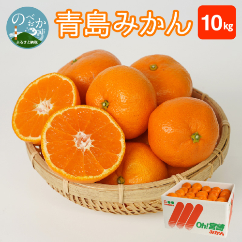 青島みかん 10kg N0132-YB351 616720 - 宮崎県延岡市