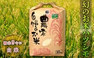 幻のお米ハツシモ　9kg 精米 白米