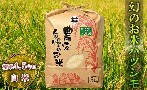 幻のお米ハツシモ　4.5kg 精米 白米 617449 - 岐阜県美濃市