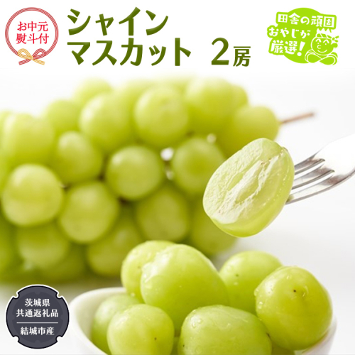 【お中元 熨斗付】 シャインマスカット 2房 【2026年7月から発送開始】 （茨城県共通返礼品 [ぶどう]：結城市産） 田舎の頑固おやじが厳選！ マスカット 種なし 高糖度 ギフト お中元 甘い 美味しい フルーツ ぶどう [BI266-NT] 617526 - 茨城県つくばみらい市