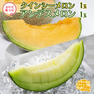 【お中元 熨斗付】 クインシーメロン 1個 アンデスメロン 1個 【令和5年7月より発送開始】 田舎の頑固おやじが厳選！ メロン お中元 ギフト 高糖度