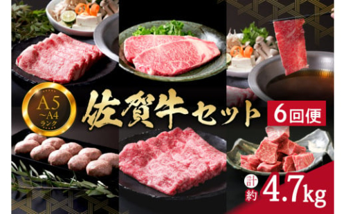 佐賀牛セット 4.7kg  6回便 ヒレ 赤身 モモスライス サーロイン ロース J667