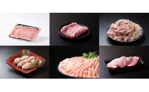 佐賀産 牛肉 豚肉 鶏肉 満腹セット 6回便 13.8kg 佐賀牛 サーロイン モモスライス ロース ハンバーグ J669 618031 - 佐賀県伊万里市