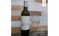 【伊奈町産の梨使用】梨ワイン2本セット  国産ワイン 日本のワイン
