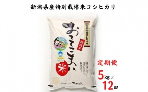 新潟県糸魚川市産コシヒカリ『おててこ米』定期便５kg×12回　特別栽培米　農家直送
