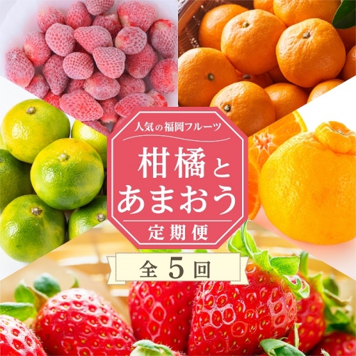 E098.【人気の福岡フルーツ】柑橘とあまおう定期便