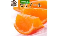 ＜6月より発送＞厳選セミノールオレンジ2.5kg+75g（傷み補償分）【春みかん】【有田産】【光センサー食べ頃出荷】