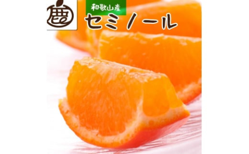 ＜6月より発送＞厳選セミノールオレンジ5kg+150g（傷み補償分）【有田の春みかん】【有田産】【光センサー食べ頃出荷】 618719 - 和歌山県印南町