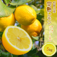 EA6009n_和歌山県産 完熟 レモン 5kg 皮まで使用可能（栽培期間中農薬不使用）