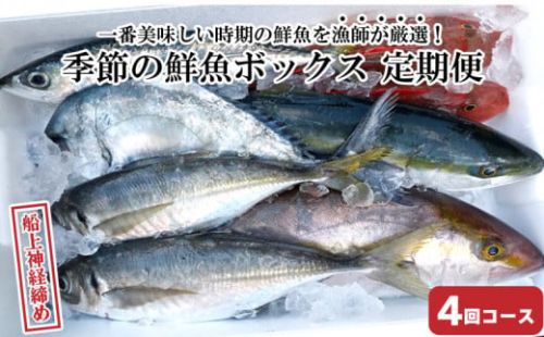 【年末限定】 季節の鮮魚ボックス 4回コース お楽しみ 魚 定期便  「 ブリ サワラ イシダイ メジナ マダイ カマス ヒラメ アジ シマアジ アオリイカ ソウダガツオ イサキ ハガツオ シマフエフキ ニベ カンパチ ホウボウ イシガキダイ ハマチ など」 618862 - 高知県須崎市
