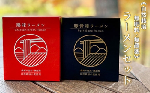 《自然栽培 / 無肥料・無農薬》豚骨ラーメン 鶏味ラーメン 各1箱 計4食 （計２箱） 山形ちば吉 ラーメン [057-005] 618883 - 山形県米沢市