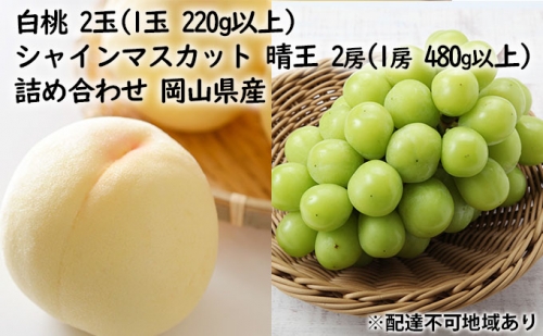  フルーツ［2023年先行予約］岡山果物 詰合せ 白桃 2玉（1玉 220g以上）／ シャインマスカット 晴王 2房（1房 480g以上）化粧箱入り 岡山県産 619179 - 岡山県浅口市