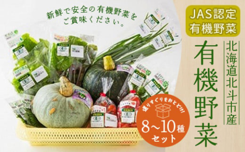 【JAS認定有機野菜】北斗市産 有機野菜8～10種類野菜セット 紙箱入(季節で種類が変わります) ふるさと納税 人気 おすすめ ランキング 野菜 詰め合わせ セット 有機野菜 南瓜 かぼちゃ 紫からし菜 からし菜 わさび菜 玉レタス サニーレタス ルッコラ レッドオーク レッドロメイン グリーンオーク グリーンロメイン じゃがいも おいしい 新鮮 北海道 北斗市 送料無料 HOKB019
