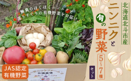 【JAS認定有機野菜】北斗市産 ニンニクと野菜5～7種類野菜セット 紙箱入(季節で種類が変更) ふるさと納税 人気 おすすめ ランキング ニンニク にんにく 国産 野菜 旬 セット 有機野菜 無農薬 有機栽培 紫アスパラ 紫からし菜 からし菜 南瓜 かぼちゃ サニーレタス ルッコラ レッドオーク レッドロメイン グリーンオーク グリーンロメイン 玉レタス 北海道 北斗市 送料無料 HOKB022