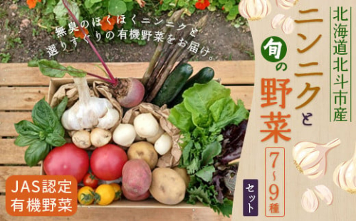 【JAS認定有機野菜】北斗市産 ニンニクと野菜7～9種類野菜セット 紙箱入(季節で種類が変更) ふるさと納税 人気 おすすめ ランキング ニンニク にんにく 国産 野菜 旬 セット 有機野菜 無農薬 有機栽培 紫アスパラ 紫からし菜 からし菜 サニーレタス ルッコラ レッドオーク レッドロメイン グリーンオーク グリーンロメイン 玉レタス 新鮮 北海道 北斗市 送料無料 HOKB023