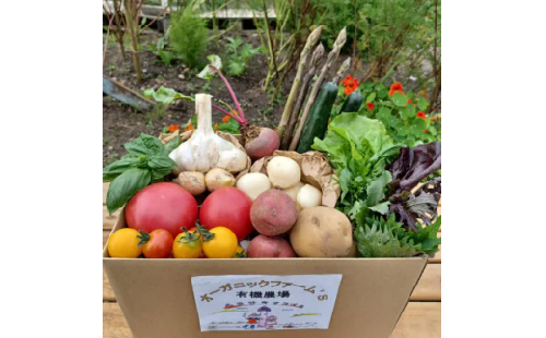 【JAS認定有機野菜】北斗市産 ニンニクと野菜9～11種類野菜セット 紙箱入(季節で種類が変更) 野菜 旬 ニンニク にんにく 大蒜  野菜セット JAS認定 有機野菜 無農薬 北海道 北斗市 送料無料 HOKB024 619240 - 北海道北斗市