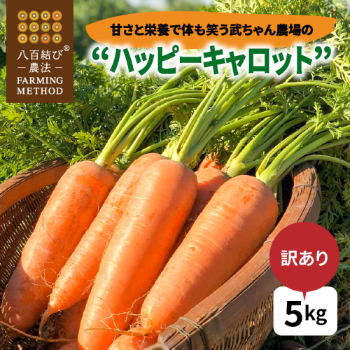 【食品ロス削減】（ 訳あり ）甘さと栄養で体も笑う武ちゃん農場の“ハッピーキャロット” 5kg　H095-022 61935 - 愛知県碧南市