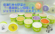 信濃町の旬野菜でつくるジェラート12個セット(レギュラー6種 + 季節のフレーバー6種)|信濃町の人気店 野菜ジェラートチェントット[長野県 信州 信濃町ふるさと納税]