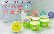 信濃町の旬野菜でつくるジェラート6種|信濃町の人気店 野菜ジェラートチェントット[長野県 信州 信濃町ふるさと納税]