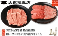 【最高級部位2種食べ比べ】伊賀牛 A5 ヒレ・サーロイン 焼肉セットA 計約1kg[№5831-7406]0883