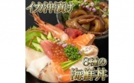 福岡市グルメ糸島海鮮堂の海鮮丼・沖漬けセット