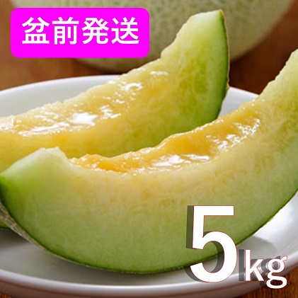 8月 盆前 津軽産 青肉メロン ご家庭用 約5kg 3 6玉 青森メロン Au Pay ふるさと納税