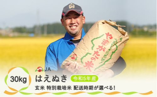 令和5年産 玄米 特別栽培米はえぬき30kg 先行予約 10月下旬発送~11月上旬発送 ja-hagta30-10s 620145 - 山形県尾花沢市