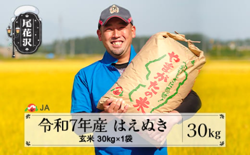 令和5年産 玄米 はえぬき30kg 先行予約 10月下旬発送~11月上旬発送 ja-hagxa30-10s 620178 - 山形県尾花沢市