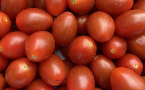 農業王国豊橋の『フルーツトマト　あまえぎみクレアレッド』１kgバラ