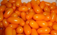 農業王国豊橋の『フルーツトマト　あまえぎみクレアオレンジ』１kgバラ