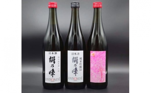 B-212絹乃峰　季節の日本酒３本セット