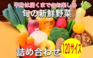 No.379 新鮮野菜詰め合わせ120サイズ ／ 旬 おまかせセット 群馬県