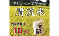 コシヒカリ 10kg / お米 こしひかり 群馬県