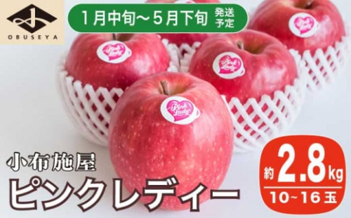 冬春が旬の希少なりんご ピンクレディー 約2 8kg 10 16玉 小布施屋 23年1月中旬 4月下旬 A 51 6297 長野県小布施町 Au Pay ふるさと納税