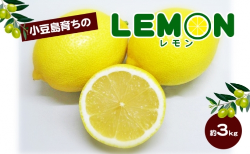 小豆島育ちのレモン　約3kg