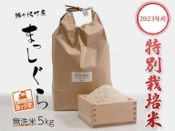 青森県鰺ヶ沢町[令和5年産]特別栽培米 まっしぐら 無洗米 5kg