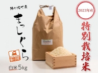 青森県鰺ヶ沢町【令和6年産・新米】特別栽培米 まっしぐら 白米 5kg