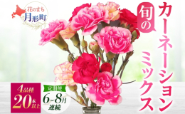【2025年6月〜8月まで3ヵ月連続お届け】 月形町からがお届けする「旬のカーネーション ミックス」！ 花の里ならではのバラエティ豊かなセットです。 4品種、20本以上のお届けですので、ご満足いただけ