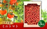 熊本県 八代市産 松永農園 ミニトマト 3kg