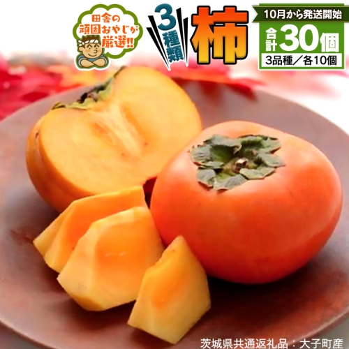 柿 3種 セット  各10個 計30個 【10月から発送開始】 （茨城県共通返礼品：大子町産） 田舎の頑固おやじが厳選！ フルーツ 果物 美味しい [BI332-NT] 621626 - 茨城県つくばみらい市