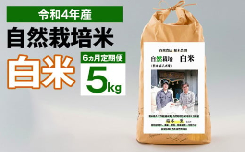 【6ヶ月定期便】令和4年度産 熊本県産 自然栽培米 稲本一号 白米 5kg 精米 お米 623961 - 熊本県八代市