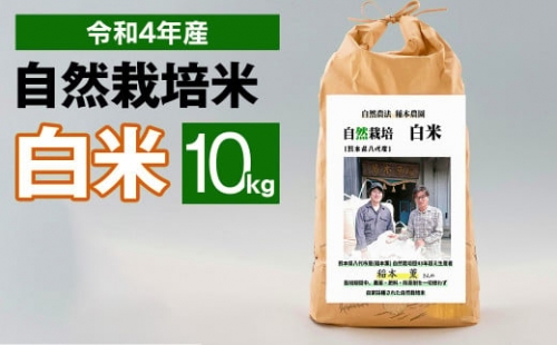 令和4年度産 熊本県産 自然栽培米 稲本一号 白米 10kg 精米 お米