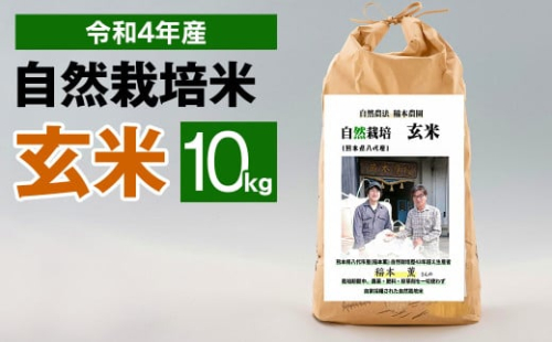 令和4年度産 熊本県産 自然栽培米 稲本一号 玄米 10kg お米 623963 - 熊本県八代市
