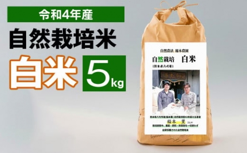 令和4年度産 熊本県産 自然栽培米 稲本一号 白米 5kg 精米 お米